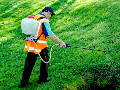 Weed Removal